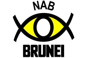 BDNAB's Logo
